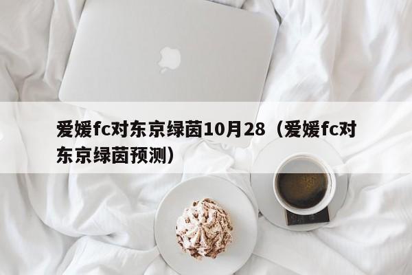 爱媛fc对东京绿茵10月28（爱媛fc对东京绿茵预测）