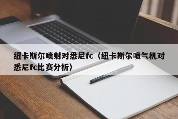 纽卡斯尔喷射对悉尼fc（纽卡斯尔喷气机对悉尼fc比赛分析）