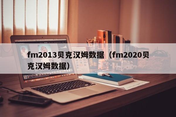 fm2013贝克汉姆数据（fm2020贝克汉姆数据）