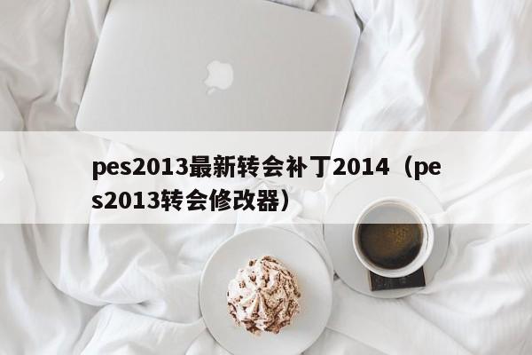 pes2013最新转会补丁2014（pes2013转会修改器）