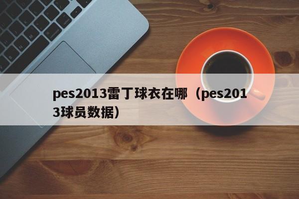 pes2013雷丁球衣在哪（pes2013球员数据）