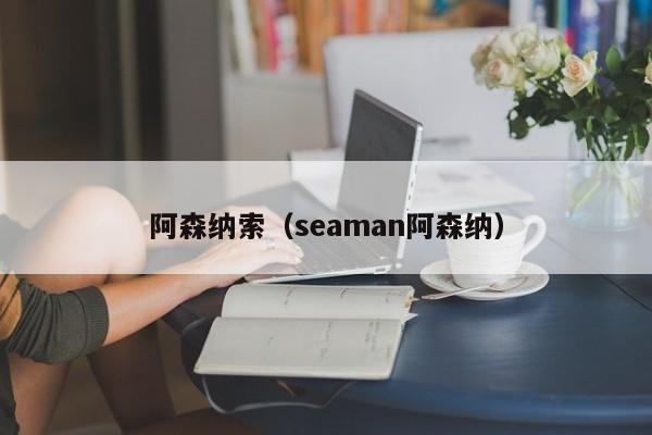 阿森纳索（seaman阿森纳）