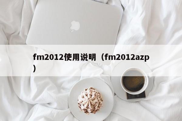 fm2012使用说明（fm2012azp）