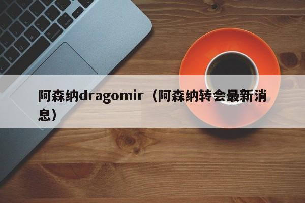 阿森纳dragomir（阿森纳转会最新消息）