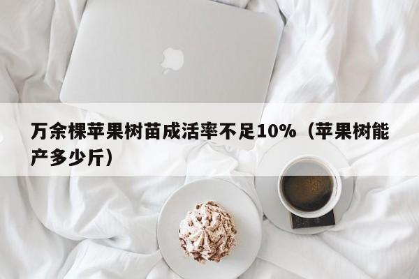 万余棵苹果树苗成活率不足10%（苹果树能产多少斤）