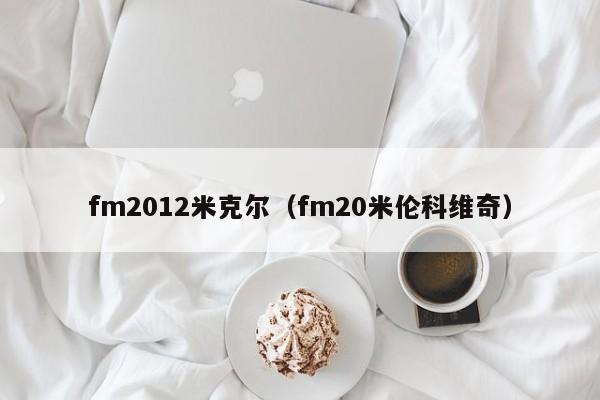 fm2012米克尔（fm20米伦科维奇）