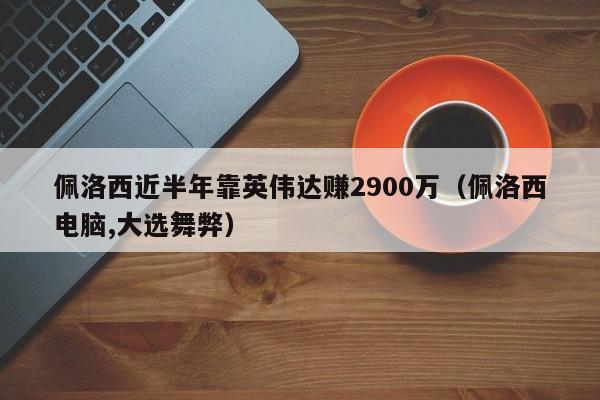 佩洛西近半年靠英伟达赚2900万（佩洛西电脑,大选舞弊）