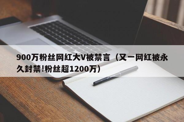 900万粉丝网红大V被禁言（又一网红被永久封禁!粉丝超1200万）