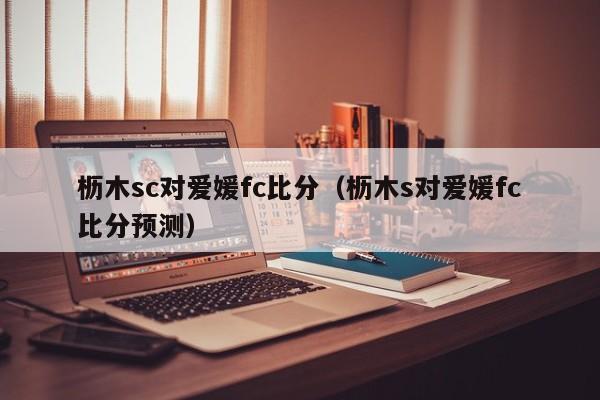 枥木sc对爱媛fc比分（枥木s对爱媛fc比分预测）