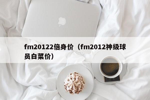 fm20122倍身价（fm2012神级球员白菜价）