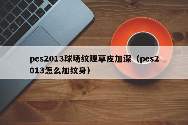 pes2013球场纹理草皮加深（pes2013怎么加纹身）