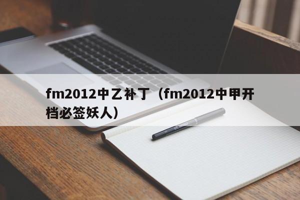 fm2012中乙补丁（fm2012中甲开档必签妖人）