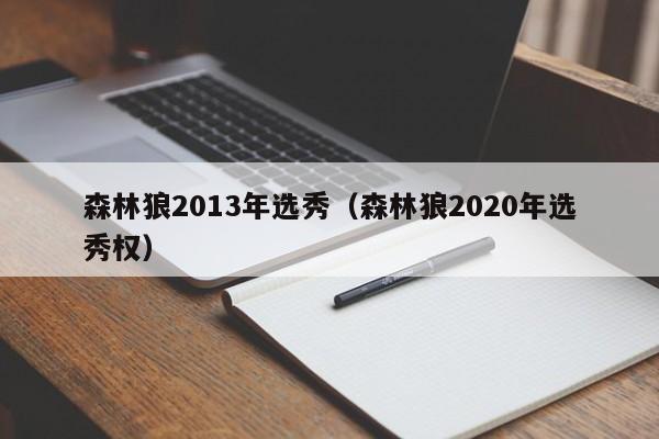 森林狼2013年选秀（森林狼2020年选秀权）