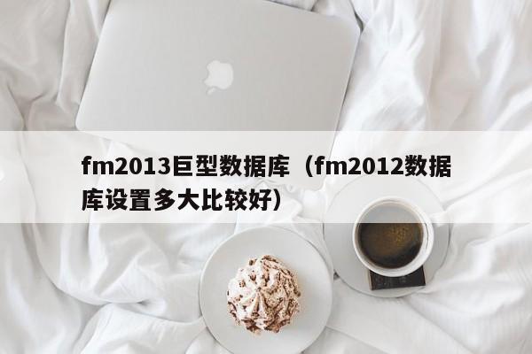 fm2013巨型数据库（fm2012数据库设置多大比较好）