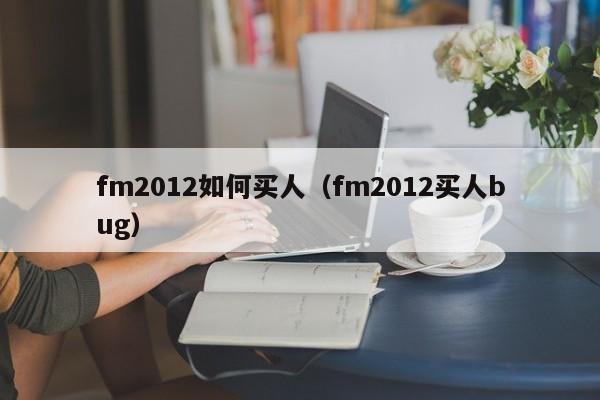 fm2012如何买人（fm2012买人bug）