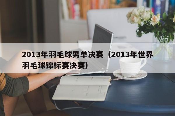 2013年羽毛球男单决赛（2013年世界羽毛球锦标赛决赛）