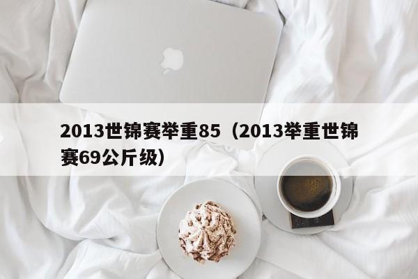 2013世锦赛举重85（2013举重世锦赛69公斤级）