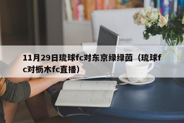 11月29日琉球fc对东京绿绿茵（琉球fc对枥木fc直播）