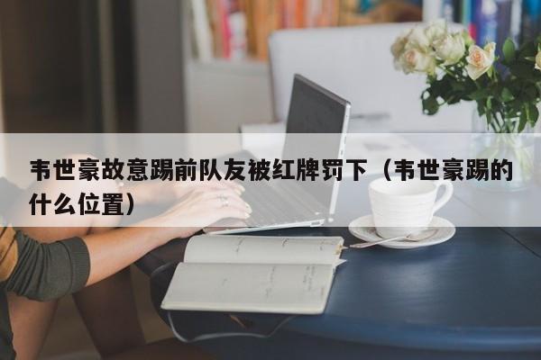 韦世豪故意踢前队友被红牌罚下（韦世豪踢的什么位置）