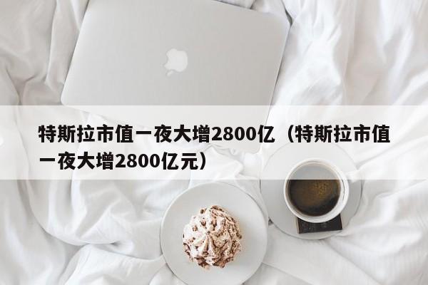 特斯拉市值一夜大增2800亿（特斯拉市值一夜大增2800亿元）