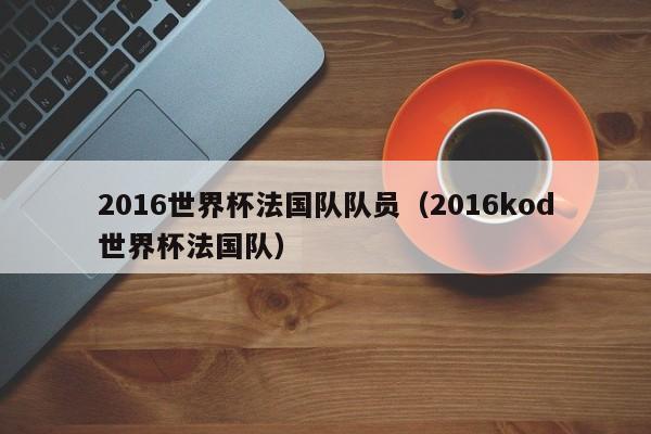 2016世界杯法国队队员（2016kod世界杯法国队）