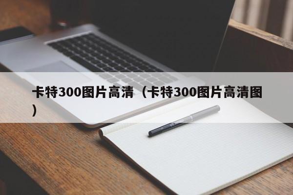 卡特300图片高清（卡特300图片高清图）