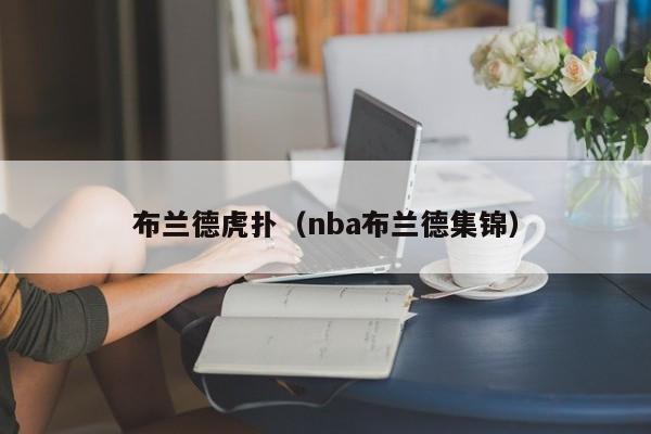 布兰德虎扑（nba布兰德集锦）